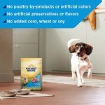 Nature's Recipe Dry Dog Food - Puppy Lamb & Rice