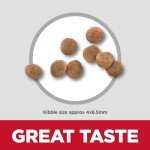 Hill's Science Diet Small Breed Puppy Food 4.5 lb