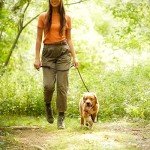 Nature's Recipe Dry Dog Food - Puppy Lamb & Rice