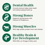 Nutro Natural Choice Puppy Food, Chicken & Brown Rice