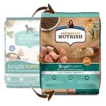 Rachael Ray Bright Puppy Chicken & Rice Dog Food