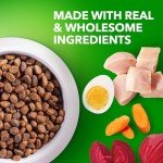 Iams Smart Puppy Dry Dog Food, 7 lb