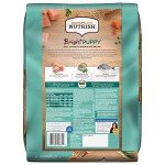 Rachael Ray Bright Puppy Chicken & Rice Dog Food