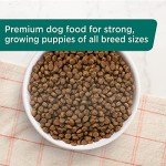 Rachael Ray Bright Puppy Chicken & Rice Dog Food