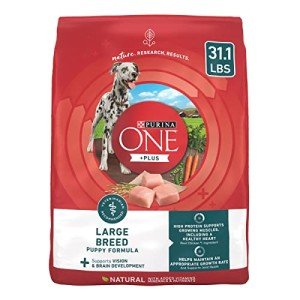 Purina ONE SmartBlend Large Breed Puppy Food 31.1 lb