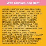 Pedigree Meaty Ground Dinner Puppy Food - Chicken & Beef