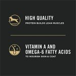 Purina Pro Plan Lamb & Rice Puppy Food