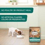 Rachael Ray Bright Puppy Chicken & Rice Dog Food