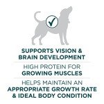 Purina ONE SmartBlend Large Breed Puppy Food 31.1 lb