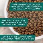 Rachael Ray Bright Puppy Chicken & Rice Dog Food