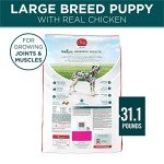 Purina ONE SmartBlend Large Breed Puppy Food 31.1 lb