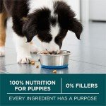 Purina ONE SmartBlend Large Breed Puppy Food 31.1 lb