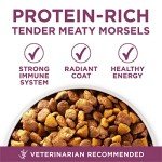 Purina ONE SmartBlend Puppy Dry Dog Food 8lb