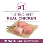 Purina ONE Natural Dry Puppy Food Varieties