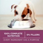 Purina ONE SmartBlend Puppy Dry Dog Food 8lb