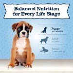 Blue Buffalo Baby BLUE Puppy Food for Small Breeds
