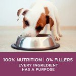 Purina ONE High Protein Puppy Food, 31.1 lb