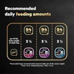 Cesar Wet Dog Food Variety Pack in Gravy