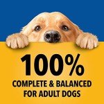 Gourmet Dog Food Variety Pack for Hunting Dogs