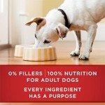 Purina ONE Wet Dog Food Variety Pack, 6 Cans