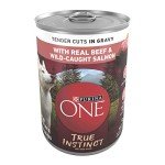 Purina ONE High Protein Wet Dog Food Cans