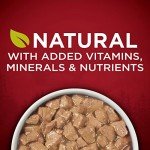 Purina ONE High Protein Wet Dog Food Cans