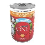 Purina ONE Wet Dog Food with Chicken & Rice