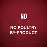 Purina ONE High Protein Wet Dog Food Cans