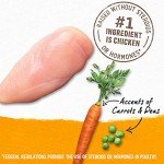 Grain-Free Chicken & Veggies Wet Dog Food