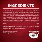 Purina ONE High Protein Wet Dog Food Cans