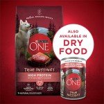 Purina ONE High Protein Wet Dog Food Cans
