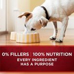 Purina ONE High Protein Wet Dog Food Cans