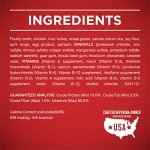 Purina ONE Wet Dog Food with Chicken & Rice