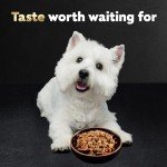 Variety Pack: Wet Dog Food for Hunting Dogs