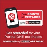 Purina ONE High Protein Wet Dog Food Variety Pack