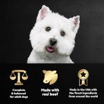 Cesar Wet Dog Food Variety Pack: Filet Mignon & NY Strip