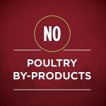 High-Protein Grain-Free Wet Dog Food Variety Pack