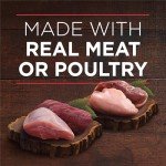 Purina ONE High Protein Wet Dog Food Variety Pack