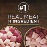 High-Protein Grain-Free Wet Dog Food Variety Pack