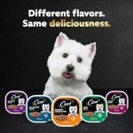 Cesar Wet Dog Food Variety Pack: Filet Mignon & NY Strip