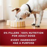 Purina ONE High Protein Wet Dog Food Variety Pack