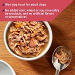 Nature's Recipe Wet Dog Food, Chicken & Salmon