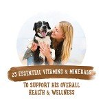 Purina Beneful High Protein Wet Dog Food Pack