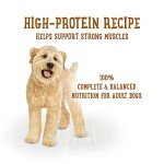 Purina Beneful High Protein Wet Dog Food Pack