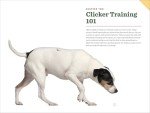 Clicker Training for Dogs: Quick Mastery Guide