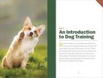 Clicker Training for Dogs: Quick Mastery Guide
