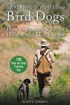 Bird Dog Training for Better Hunting Adventures