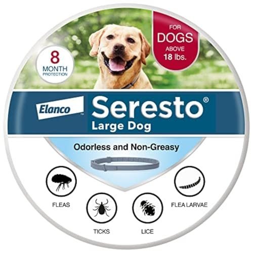 Dog Tick Control