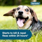 Seresto Small Dog Flea & Tick Prevention Collar 2 Pack