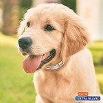 Reflective Flea & Tick Collar for Dogs